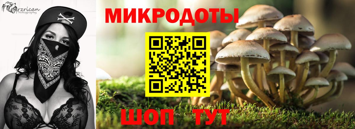 Галлюциногенные грибы GOLDEN TEACHER  Вход с VPN  Псилоцибиновые грибы мухоморы  Кохма 